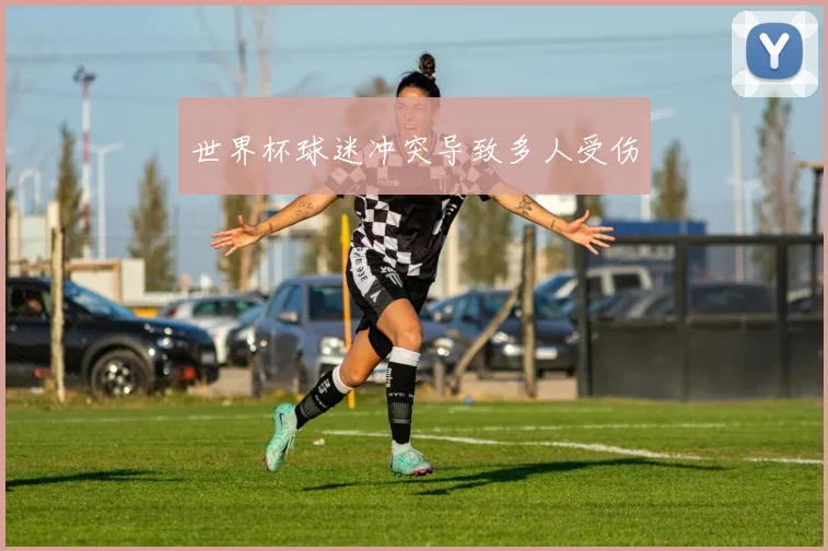 世界杯球迷冲突导致多人受伤